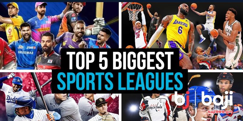 How to Get Started with Baji999 Betting
